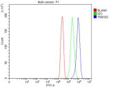 Flow cytometry testing of fixed and permeabilized human U-251 cells with TNRC6C antibody at 1ug/million cells (blocked with goat sera); Red=cells alone, Green=isotype control, Blue= CD59 antibody.