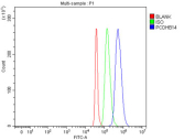 Flow cytometry testing of fixed human SH-SY5Y cells with PCDHB14 antibody at 1ug/million cells (blocked with goat sera); Red=cells alone, Green=isotype control, Blue= PCDHB14 antibody.