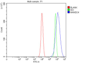 Flow cytometry testing of fixed human PC-3 cells with MANSC4 antibody at 1ug/million cells (blocked with goat sera); Red=cells alone, Green=isotype control, Blue= MANSC4 antibody.