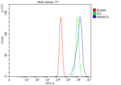 Flow cytometry testing of fixed human Caco-2 cells with MANSC4 antibody at 1ug/million cells (blocked with goat sera); Red=cells alone, Green=isotype control, Blue= MANSC4 antibody.