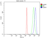 Flow cytometry testing of fixed and permeabilized human 293T cells with PGAP1 antibody at 1ug/million cells (blocked with goat sera); Red=cells alone, Green=isotype control, Blue= PGAP1 antibody.