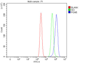 Flow cytometry testing of fixed and permeabilized human MCF7 cells with PGM5 antibody at 1ug/million cells (blocked with goat sera); Red=cells alone, Green=isotype control, Blue= PGM5 antibody.