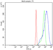 Flow cytometry testing of fixed and permeabilized human HeLa cells with GLRX antibody at 1ug/million cells (blocked with goat sera); Red=cells alone, Green=isotype control, Blue= GLRX antibody.