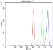 Flow cytometry testing of fixed and permeabilized human HCT-116 cells with SNX6 antibody at 1ug/million cells (blocked with goat sera); Red=cells alone, Green=isotype control, Blue= SNX6 antibody.