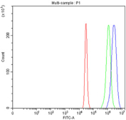 Flow cytometry testing of fixed and permeabilized human 293T cells with POLR3D antibody at 1ug/million cells (blocked with goat sera); Red=cells alone, Green=isotype control, Blue= POLR3D antibody.