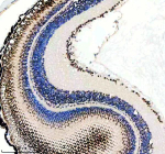 Immunohistochemical analysis of Luc7-like protein 3 using Zebrafish Luc7l3 antibody and paraffin-embedded zebrafish eye tissue. HIER: boil tissue sections in pH8 EDTA for 20 min and allow to cool before testing.