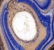 IHC staining of zebrafish Igf2a protein using Zebrafish Igf2a antibody, HRP-labeled secondary and DAB substrate. Igf2a was detected in a paraffin-embedded section of zebrafish eye tissue. HIER: boil tissue sections in pH8 EDTA for 20 min and allow to cool before testing.