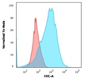 Flow cytometry testing of human MOLT-4 cells with unlabeled CD2 antibody (clone BH1); Red=isotype control, Blue= CD2 antibody.