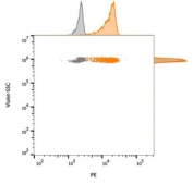 FACS staining of bead-bound exosomes derived from human MCF7 cells: Gray = unstained, Orange = CF568 labeled CD63 antibody.