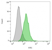 FACS staining of human MCF7 cells: Gray = unstained, Green = CF488 labeled CD63 antibody.