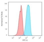 Flow cytometry testing of human MCF-7 cells with HER2 antibody at 1ug/million cells; Red=isotype control, Blue= HER2 antibody.