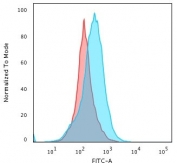 Flow cytometry testing of PFA-fixed human Raji cells with Kappa antibody (clone KLC264); Red=isotype control, Blue= Kappa antibody.