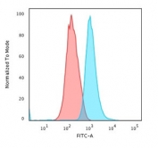 Flow cytometry staining of methanol-fixed human HeLa cells with unlabeled Cytokeratin 14 antibody; Red=isotype control, Blue= Cytokeratin 14 antibody.