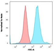 Flow cytometry testing of permeabilized human HEK293 cells with Neurofilament antibody (clone NF421); Red=isotype control, Blue= Neurofilament antibody.
