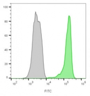 Flow cytometry testing of lymphocyte-gated human PBM cells with CF488-labeled CD45 antibody cocktail (clone 2B11, green), and unstained cells (gray).