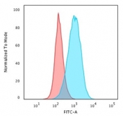 Flow cytometry staining of PFA-fixed human Raji cells with CD45RB antibody (clone BRA-11); Red=isotype control, Blue= CD45RB antibody.