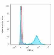 Flow cytometry staining of human PBM cells with CD8a antibody (clone RIV11); Red=isotype control, Blue= SLC16A11 antibody.