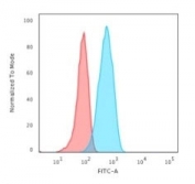 Flow cytometry testing of human Raji cells with anti-CD19 antibody (clone CVID3/155); Red=isotype control, Blue= anti-CD19 antibody.