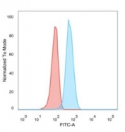 Flow cytometry testing of human MCF7 cells with CCR5 antibody (clone 12D1); Red=isotype control, Blue= CCR5 antibody.