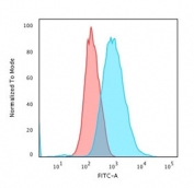 Flow cytometry testing of PFA-fixed human HeLa cells with Cytokeratin 7 antibody (clone KRT7/903); Red=isotype control, Blue= recombinant Cytokeratin 7 antibody.