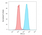 Flow cytometry testing of PFA-fixed human MCF7 cells with EpCAM antibody cocktail (clone PAN-EpCAM); Red=isotype control, Blue= EpCAM antibody cocktail antibody.