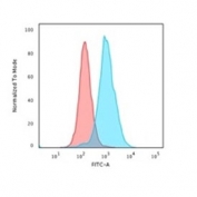 Flow cytometry staining of PFA-fixed human K562 cells with Nucleolin antibody; Red=isotype control, Blue= Nucleolin antibody.