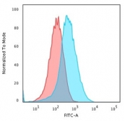 Flow cytometry staining of PFA-fixed human HepG2 cells with GRP94 antibody; Red=isotype control, Blue= GRP94 antibody.