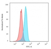 Flow cytometry staining of human HeLa cells with recombinant p53 antibody (clone TP53/1799R); Red=isotype control, Blue= recombinant p53 antibody.