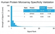 Analysis of HuProt(TM) microarray containing more than 19,000 full-length human proteins using Adiponectin antibody (clone ADPN/1370). These results demonstrate the foremost specificity of the ADPN/1370 mAb. Z- and S- score: The Z-score represents the strength of a signal that an antibody (in combination with a fluorescently-tagged anti-IgG secondary Ab) produces when binding to a particular protein on the HuProt(TM) array. Z-scores are described in units of standard deviations (SD's) above the mean value of all signals generated on that array. If the targets on the HuProt(TM) are arranged in descending order of the Z-score, the S-score is the difference (also in units of SD's) between the Z-scores. The S-score therefore represents the relative target specificity of an Ab to its intended target.