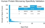 Analysis of HuProt(TM) microarray containing more than 19,000 full-length human proteins using recombinant SOX10 antibody. These results demonstrate the foremost specificity of the rSOX10/1074 mAb. Z- and S- score: The Z-score represents the strength of a signal that an antibody (in combination with a fluorescently-tagged anti-IgG secondary Ab) produces when binding to a particular protein on the HuProt(TM) array. Z-scores are described in units of standard deviations (SD's) above the mean value of all signals generated on that array. If the targets on the HuProt(TM) are arranged in descending order of the Z-score, the S-score is the difference (also in units of SD's) between the Z-scores. The S-score therefore represents the relative target specificity of an Ab to its intended target.