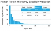 Analysis of HuProt(TM) microarray containing more than 19,000 full-length human proteins using CD79a antibody (clone rIGA/764). These results demonstrate the foremost specificity of the rIGA/764 mAb. Z- and S- score: The Z-score represents the strength of a signal that an antibody (in combination with a fluorescently-tagged anti-IgG secondary Ab) produces when binding to a particular protein on the HuProt(TM) array. Z-scores are described in units of standard deviations (SD's) above the mean value of all signals generated on that array. If the targets on the HuProt(TM) are arranged in descending order of the Z-score, the S-score is the difference (also in units of SD's) between the Z-scores. The S-score therefore represents the relative target specificity of an Ab to its intended target.