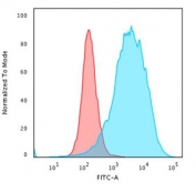 FACS staining of PFA-fixed human K562 cells with recombinant CD43 antibody (clone SPN/2049R). Red=isotype control, Blue= recombinant CD43 antibody.