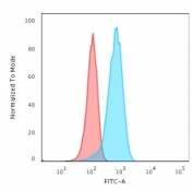 Flow cytometry testing of permeabilized human T98G cells with recombinant PGP9.5 antibody (clone rUCHL1/775); Red=isotype control, Blue= recombinant PGP9.5 antibody.