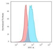 Flow cytometry testing of human Jurkat cells with CD3e antibody (clone C3e/1931); Red=isotype control, Blue= CD3e antibody.