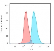 Flow cytometry testing of PFA-fixed human HeLa cells with recombinant Cytokeratin 7 antibody (clone CTKN7-2R); Red=isotype control, Blue= recombinant Cytokeratin 7 antibody.