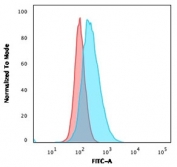 Flow cytometry testing of human A549 cells with CD14 antibody (clone LPSR/2386); Red=isotype control, Blue= CD14 antibody.