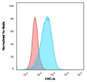 Flow cytometry testing of PFA-fixed human Raji cells with CD45 antibody (clone CDLA45-3R); Red=isotype control, Blue= CD45 antibody.