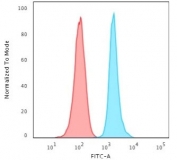 FACS testing of human HeLa cells with Ki-67 antibody (blue, clone MKI67/2465) and isotype control (red). Cells were trypsinized and 2-4% PFA-fixed prior to staining. 