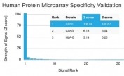 Analysis of HuProt(TM) microarray containing more than 19,000 full-length human proteins using CD10 antibody (clone MME/1893). These results demonstrate the foremost specificity of the MME/1893 mAb. Z- and S- score: The Z-score represents the strength of a signal that an antibody (in combination with a fluorescently-tagged anti-IgG secondary Ab) produces when binding to a particular protein on the HuProt(TM) array. Z-scores are described in units of standard deviations (SD's) above the mean value of all signals generated on that array. If the targets on the HuProt(TM) are arranged in descending order of the Z-score, the S-score is the difference (also in units of SD's) between the Z-scores. The S-score therefore represents the relative target specificity of an Ab to its intended target.