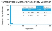 Analysis of HuProt(TM) microarray containing more than 19,000 full-length human proteins using Transferrin Receptor antibody (clone TFRC/1839). These results demonstrate the foremost specificity of the TFRC/1839 mAb. Z- and S- score: The Z-score represents the strength of a signal that an antibody (in combination with a fluorescently-tagged anti-IgG secondary Ab) produces when binding to a particular protein on the HuProt(TM) array. Z-scores are described in units of standard deviations (SD's) above the mean value of all signals generated on that array. If the targets on the HuProt(TM) are arranged in descending order of the Z-score, the S-score is the difference (also in units of SD's) between the Z-scores. The S-score therefore represents the relative target specificity of an Ab to its intended target.
