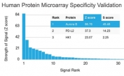 Analysis of HuProt(TM) microarray containing more than 19,000 full-length human proteins using Aurora B antibody (clone AURKB/1593). These results demonstrate the foremost specificity of the AURKB/1593 mAb. Z- and S- score: The Z-score represents the strength of a signal that an antibody (in combination with a fluorescently-tagged anti-IgG secondary Ab) produces when binding to a particular protein on the HuProt(TM) array. Z-scores are described in units of standard deviations (SD's) above the mean value of all signals generated on that array. If the targets on the HuProt(TM) are arranged in descending order of the Z-score, the S-score is the difference (also in units of SD's) between the Z-scores. The S-score therefore represents the relative target specificity of an Ab to its intended target.