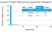 Analysis of HuProt(TM) microarray containing more than 19,000 full-length human proteins using AKR1B1 antibody (clone CPTC-AKR1B1-2). These results demonstrate the foremost specificity of the CPTC-AKR1B1-2 mAb. Z- and S- score: The Z-score represents the strength of a signal that an antibody (in combination with a fluorescently-tagged anti-IgG secondary Ab) produces when binding to a particular protein on the HuProt(TM) array. Z-scores are described in units of standard deviations (SD's) above the mean value of all signals generated on that array. If the targets on the HuProt(TM) are arranged in descending order of the Z-score, the S-score is the difference (also in units of SD's) between the Z-scores. The S-score therefore represents the relative target specificity of an Ab to its intended target.