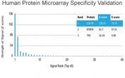 Analysis of HuProt(TM) microarray containing more than 19,000 full-length human proteins using B7-H3 antibody (clone B7H3/4348). These results demonstrate the foremost specificity of the B7H3/4348 mAb. Z- and S- score: The Z-score represents the strength of a signal that an antibody (in combination with a fluorescently-tagged anti-IgG secondary Ab) produces when binding to a particular protein on the HuProt(TM) array. Z-scores are described in units of standard deviations (SD's) above the mean value of all signals generated on that array. If the targets on the HuProt(TM) are arranged in descending order of the Z-score, the S-score is the difference (also in units of SD's) between the Z-scores. The S-score therefore represents the relative target specificity of an Ab to its intended target.