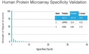 Analysis of HuProt(TM) microarray containing more than 19,000 full-length human proteins using Keratin 14 antibody (clone KRT14/4127). These results demonstrate the foremost specificity of the KRT14/4127 mAb. Z- and S- score: The Z-score represents the strength of a signal that an antibody (in combination with a fluorescently-tagged anti-IgG secondary Ab) produces when binding to a particular protein on the HuProt(TM) array. Z-scores are described in units of standard deviations (SD's) above the mean value of all signals generated on that array. If the targets on the HuProt(TM) are arranged in descending order of the Z-score, the S-score is the difference (also in units of SD's) between the Z-scores. The S-score therefore represents the relative target specificity of an Ab to its intended target.