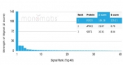 Analysis of a HuProt(TM) microarray containing more than 19,000 full-length human proteins using FGF23 antibody (clone FGF23/6371). Z- and S- Score: The Z-score represents the strength of a signal that a monoclonal antibody (in combination with a fluorescently-tagged anti-IgG secondary antibody) produces when binding to a particular protein on the HuProt(TM) array. Z-scores are described in units of standard deviations (SD's) above the mean value of all signals generated on that array. If targets on HuProt(TM) are arranged in descending order of the Z-score, the S-score is the difference (also in units of SD's) between the Z-score. S-score therefore represents the relative target specificity of a mAb to its intended target. A mAb is considered to specific to its intended target, if the mAb has an S-score of at least 2.5. For example, if a mAb binds to protein X with a Z-score of 43 and to protein Y with a Z-score of 14, then the S-score for the binding of that mAb to protein X is equal to 29.