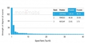 Analysis of a HuProt(TM) microarray containing more than 19,000 full-length human proteins using Alpha-1-Antitrypsin Mouse Monoclonal (AAT/4571). Z- and S- Score: The Z-score represents the strength of a signal that a monoclonal antibody (in combination with a fluorescently-tagged anti-IgG secondary antibody) produces when binding to a particular protein on the HuProt(TM) array. Z-scores are described in units of standard deviations (SD's) above the mean value of all signals generated on that array. If targets on HuProt(TM) are arranged in descending order of the Z-score, the S-score is the difference (also in units of SD's) between the Z-score. S-score therefore represents the relative target specificity of a mAb to its intended target. A mAb is considered to specific to its intended target, if the mAb has an S-score of at least 2.5. For example, if a mAb binds to protein X with a Z-score of 43 and to protein Y with a Z-score of 14, then the S-score for the binding of that mAb to protein X is equal to 29.