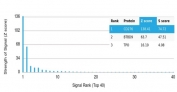 Analysis of a HuProt(TM) microarray containing more than 19,000 full-length human proteins using B7-H3 antibody (clone B7H3/4479). Z- and S- Score: The Z-score represents the strength of a signal that a monoclonal antibody (in combination with a fluorescently-tagged anti-IgG secondary antibody) produces when binding to a particular protein on the HuProt(TM) array. Z-scores are described in units of standard deviations (SD's) above the mean value of all signals generated on that array. If targets on HuProt(TM) are arranged in descending order of the Z-score, the S-score is the difference (also in units of SD's) between the Z-score. S-score therefore represents the relative target specificity of a mAb to its intended target. A mAb is considered to specific to its intended target, if the mAb has an S-score of at least 2.5. For example, if a mAb binds to protein X with a Z-score of 43 and to protein Y with a Z-score of 14, then the S-score for the binding of that mAb to protein X is equal to 29.
