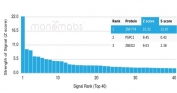 Analysis of a HuProt(TM) microarray containing more than 19,000 full-length human proteins using ZNF774 antibody (clone PCRP-ZNF774-3F7). Z- and S- Score: The Z-score represents the strength of a signal that a monoclonal antibody (in combination with a fluorescently-tagged anti-IgG secondary antibody) produces when binding to a particular protein on the HuProt(TM) array. Z-scores are described in units of standard deviations (SD's) above the mean value of all signals generated on that array. If targets on HuProt(TM) are arranged in descending order of the Z-score, the S-score is the difference (also in units of SD's) between the Z-score. S-score therefore represents the relative target specificity of a mAb to its intended target. A mAb is considered to specific to its intended target, if the mAb has an S-score of at least 2.5. For example, if a mAb binds to protein X with a Z-score of 43 and to protein Y with a Z-score of 14, then the S-score for the binding of that mAb to protein X is equal to 29.