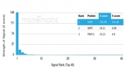 Analysis of a HuProt(TM) microarray containing more than 19,000 full-length human proteins using GFAP antibody (GFAP/6874). Z- and S- Score: The Z-score represents the strength of a signal that a monoclonal antibody (in combination with a fluorescently-tagged anti-IgG secondary antibody) produces when binding to a particular protein on the HuProt(TM) array. Z-scores are described in units of standard deviations (SD's) above the mean value of all signals generated on that array. If targets on HuProt(TM) are arranged in descending order of the Z-score, the S-score is the difference (also in units of SD's) between the Z-score. S-score therefore represents the relative target specificity of a mAb to its intended target. A mAb is considered to specific to its intended target, if the mAb has an S-score of at least 2.5. For example, if a mAb binds to protein X with a Z-score of 43 and to protein Y with a Z-score of 14, then the S-score for the binding of that mAb to protein X is equal to 29.