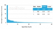 Analysis of a HuProt(TM) microarray containing more than 19,000 full-length human proteins using antibody to GFAP (GFAP/6882). Z- and S- Score: The Z-score represents the strength of a signal that a monoclonal antibody (in combination with a fluorescently-tagged anti-IgG secondary antibody) produces when binding to a particular protein on the HuProt(TM) array. Z-scores are described in units of standard deviations (SD's) above the mean value of all signals generated on that array. If targets on HuProt(TM) are arranged in descending order of the Z-score, the S-score is the difference (also in units of SD's) between the Z-score. S-score therefore represents the relative target specificity of a mAb to its intended target. A mAb is considered to specific to its intended target, if the mAb has an S-score of at least 2.5. For example, if a mAb binds to protein X with a Z-score of 43 and to protein Y with a Z-score of 14, then the S-score for the binding of that mAb to protein X is equal to 29.